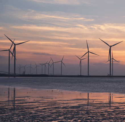  ScotWind leasing hailed as “truly historic” for Scotland 