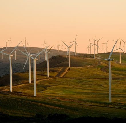 Legal compensation for wind farm disturbance
